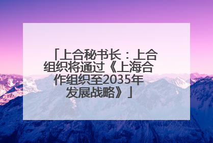 上合秘书长：上合组织将通过《上海合作组织至2035年发展战略》