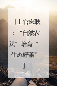 上官宏耿：“自然农法”培育“生态好茶”