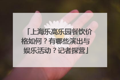 上海乐高乐园餐饮价格如何？有哪些演出与娱乐活动？记者探营