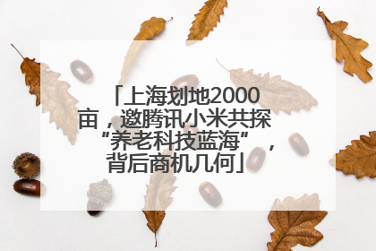 上海划地2000亩，邀腾讯小米共探“养老科技蓝海”，背后商机几何