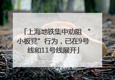 上海地铁集中劝阻 “小板凳”行为，已在9号线和11号线展开
