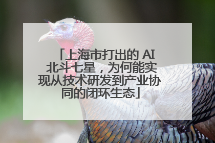 上海市打出的 AI 北斗七星，为何能实现从技术研发到产业协同的闭环生态