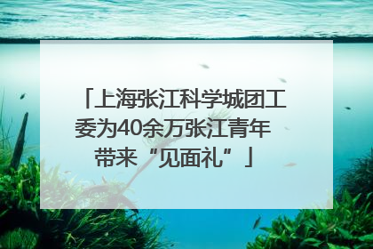 上海张江科学城团工委为40余万张江青年带来“见面礼”