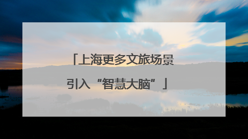 上海更多文旅场景引入“智慧大脑”