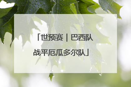世预赛｜巴西队战平厄瓜多尔队