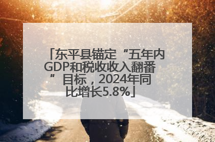 东平县锚定“五年内GDP和税收收入翻番”目标，2024年同比增长5.8%