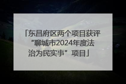 东昌府区两个项目获评“聊城市2024年度法治为民实事”项目