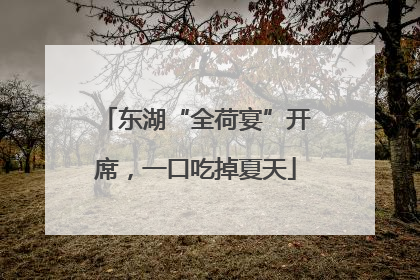 东湖“全荷宴”开席，一口吃掉夏天