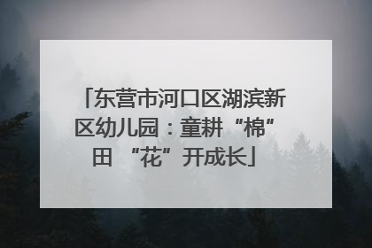东营市河口区湖滨新区幼儿园：童耕“棉”田 “花”开成长