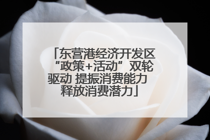 东营港经济开发区“政策+活动”双轮驱动 提振消费能力 释放消费潜力