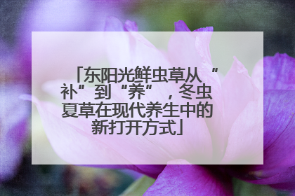 东阳光鲜虫草从“补”到“养”，冬虫夏草在现代养生中的新打开方式