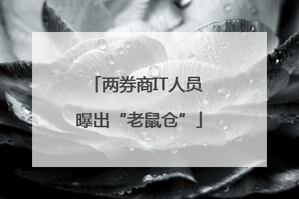 两券商IT人员曝出“老鼠仓”