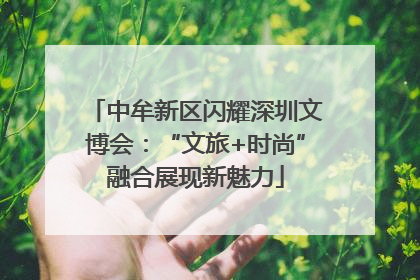 中牟新区闪耀深圳文博会：“文旅+时尚”融合展现新魅力