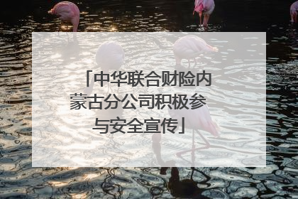中华联合财险内蒙古分公司积极参与安全宣传