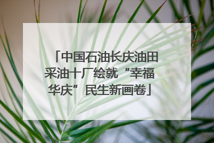 中国石油长庆油田采油十厂绘就“幸福华庆”民生新画卷