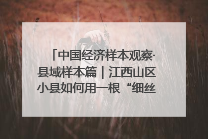 中国经济样本观察·县域样本篇｜江西山区小县如何用一根“细丝”拉出百亿级产业？