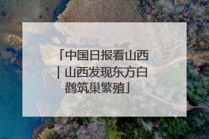 中国日报看山西｜山西发现东方白鹳筑巢繁殖