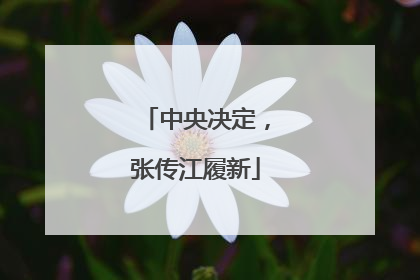 中央决定，张传江履新