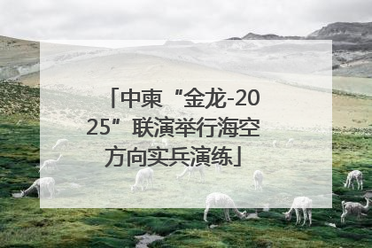 中柬“金龙-2025”联演举行海空方向实兵演练
