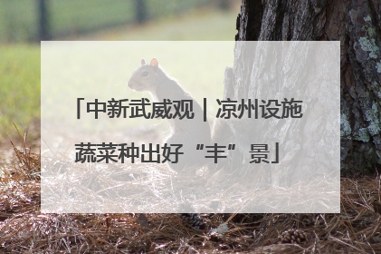 中新武威观｜凉州设施蔬菜种出好“丰”景