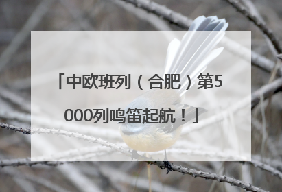 中欧班列（合肥）第5000列鸣笛起航！