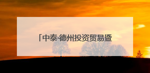 中泰·德州投资贸易暨法律服务交流会举行