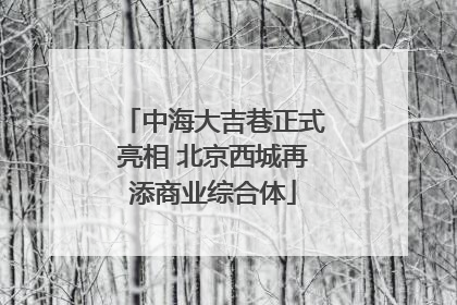 中海大吉巷正式亮相 北京西城再添商业综合体