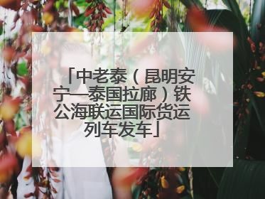 中老泰（昆明安宁—泰国拉廊）铁公海联运国际货运列车发车