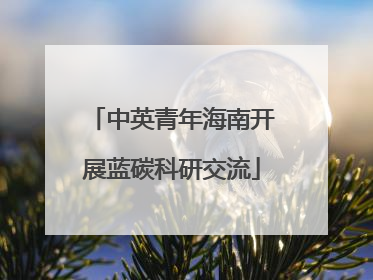 中英青年海南开展蓝碳科研交流