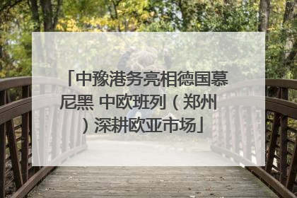 中豫港务亮相德国慕尼黑 中欧班列（郑州）深耕欧亚市场