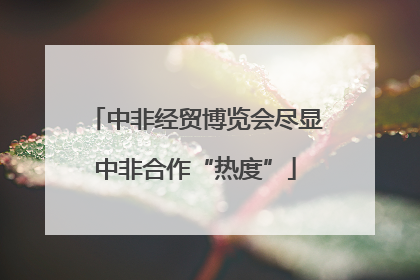 中非经贸博览会尽显中非合作“热度”