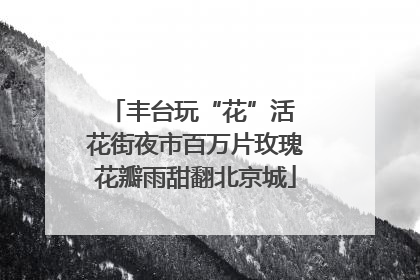 丰台玩“花”活 花街夜市百万片玫瑰花瓣雨甜翻北京城