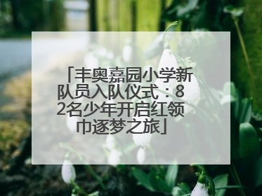 丰奥嘉园小学新队员入队仪式：82名少年开启红领巾逐梦之旅