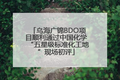 乌海广锦BDO项目顺利通过中国化学“五星级标准化工地”现场初评