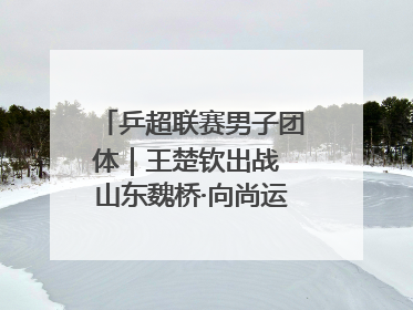乒超联赛男子团体｜王楚钦出战 山东魏桥·向尚运动胜四川丰谷