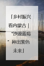 乡村振兴看内蒙古｜“沙漠蓝莓”种出紫色未来