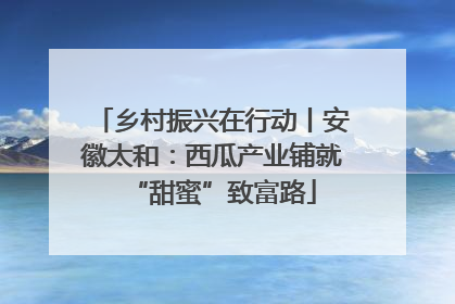 乡村振兴在行动丨安徽太和：西瓜产业铺就“甜蜜”致富路