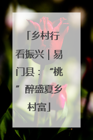 乡村行 看振兴｜易门县：“桃”醉盛夏乡村富