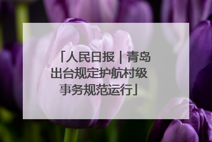 人民日报｜青岛出台规定护航村级事务规范运行