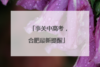 事关中高考，合肥最新提醒