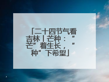 二十四节气看吉林丨芒种：“芒”着生长，“种”下希望