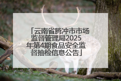 云南省腾冲市市场监督管理局2025年第4期食品安全监督抽检信息公告