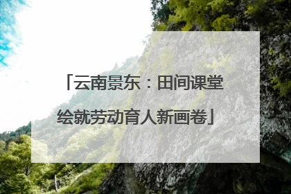 云南景东：田间课堂绘就劳动育人新画卷