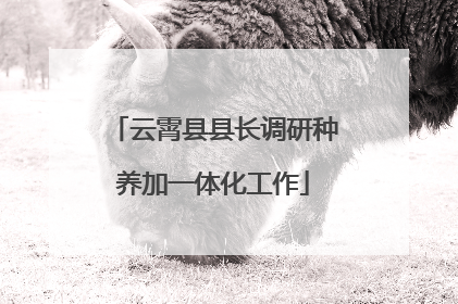 云霄县县长调研种养加一体化工作