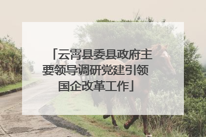 云霄县委县政府主要领导调研党建引领国企改革工作