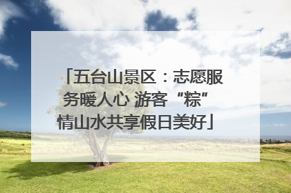 五台山景区：志愿服务暖人心 游客“粽”情山水共享假日美好