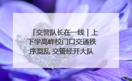 交警队长在一线｜上下学高峰校门口交通秩序混乱 交管经开大队多举措进行整治