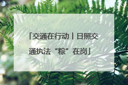 交通在行动丨日照交通执法“粽”在岗