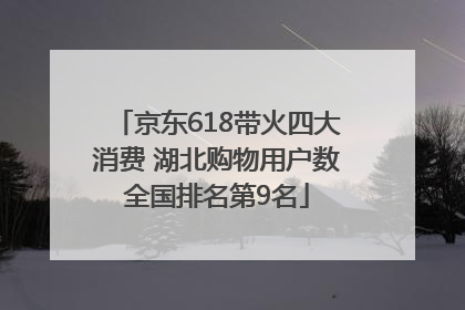 京东618带火四大消费 湖北购物用户数全国排名第9名