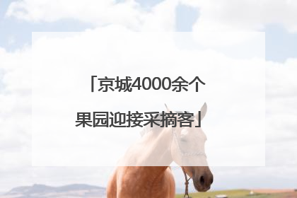 京城4000余个果园迎接采摘客